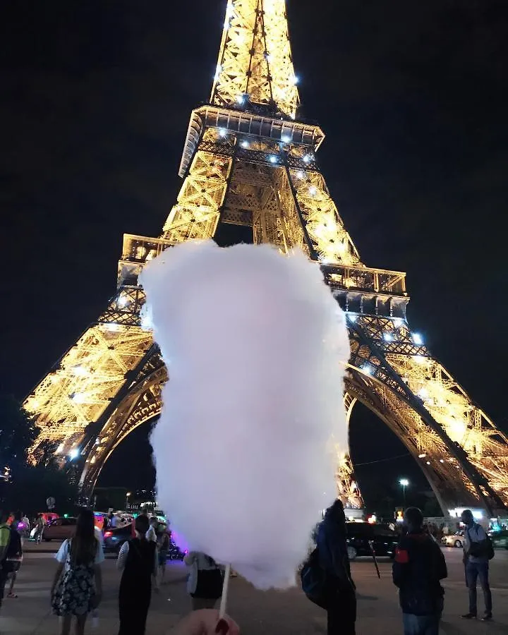 Cosy Near Eiffel Tour
